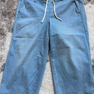 Torrid Light Blue Denim Pants